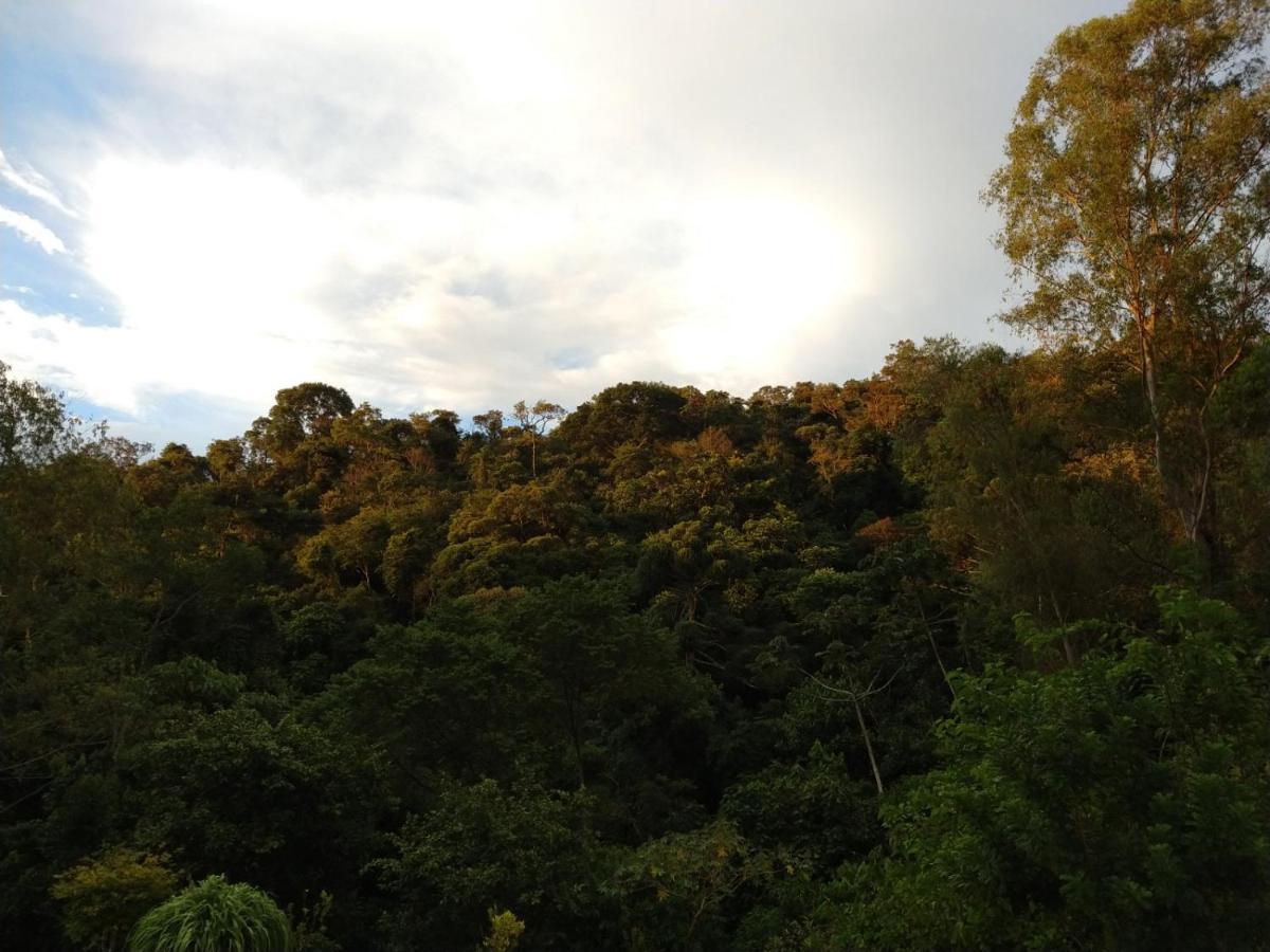Pousada Reserva Nativida Santo Antônio do Pinhal Dış mekan fotoğraf